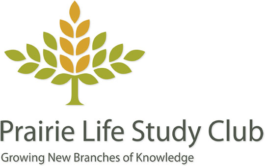 Electra Design Group Logo | Hoffmann Angelic Design | prairie life | study club | japanese | chinese | oriental