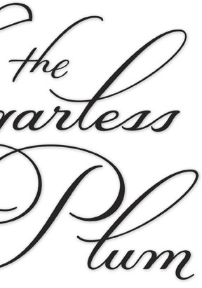 Type Design for Book Cover Art | The Sugarless Plum | Zippora Karz | spencerian | flourishes | ballerina | diabetes | elegant